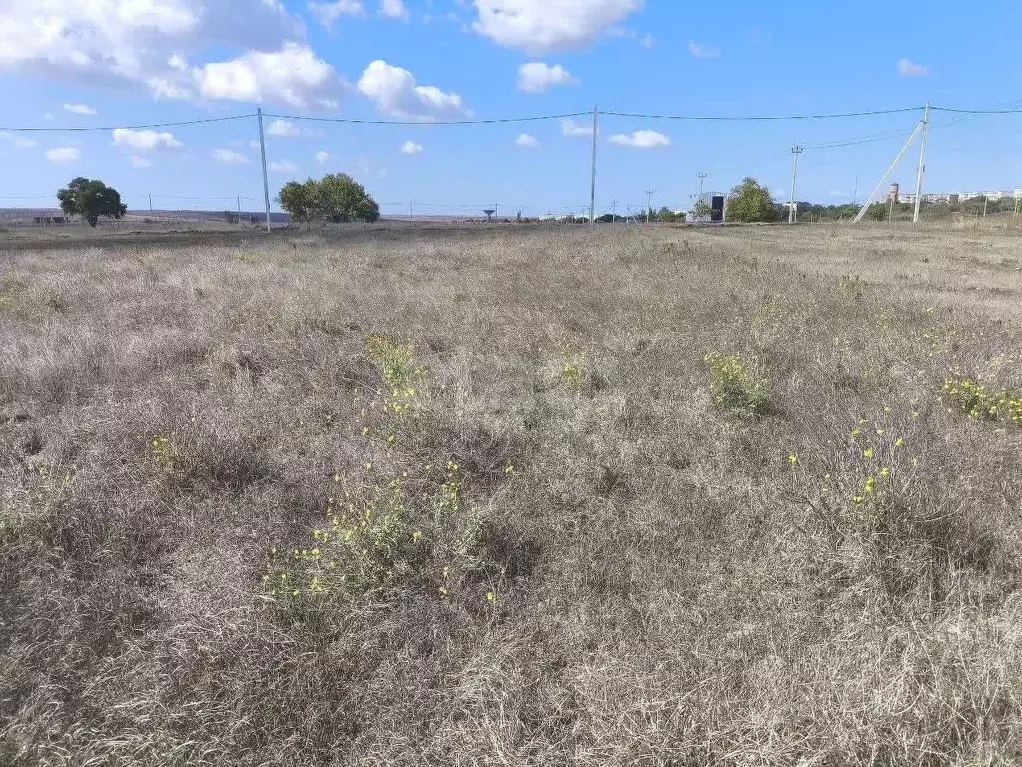 Участок в Крым, Симферопольский район, Родниковское с/пос, Содружество ... - Фото 1