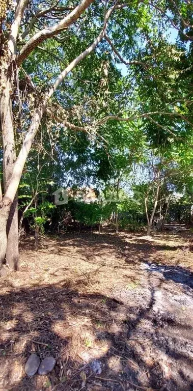 Участок в Адыгея, Майкоп ул. Хакурате, 268 (5.37 сот.) - Фото 1