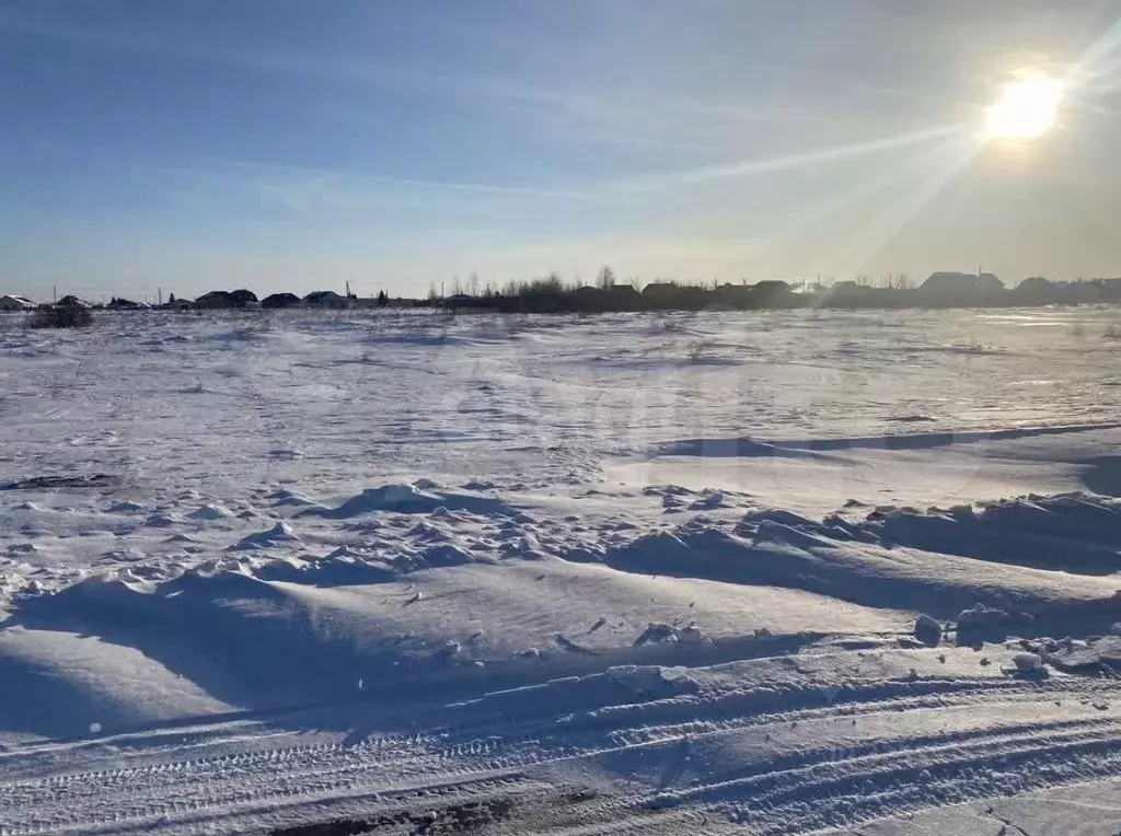 Участок в Омская область, Калачинск ул. Антонины Артемьевой (7.0 сот.) - Фото 1