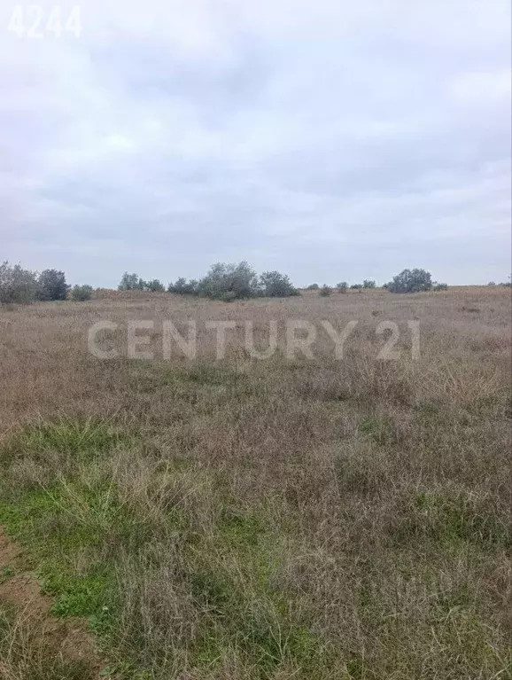 Участок в Крым, Сакский район, Уютненское с/пос, ОСК Союз-2004 тер. 59 ... - Фото 1