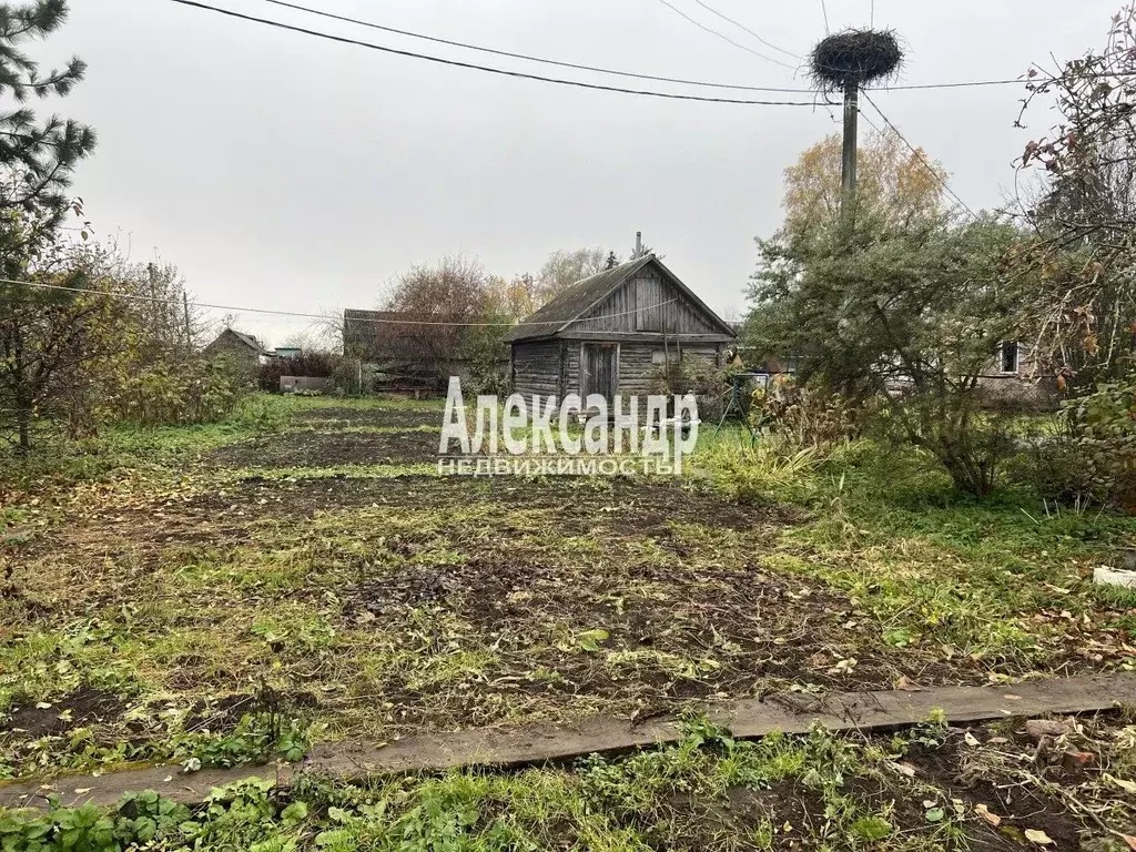 Участок в Ленинградская область, Гатчинский муниципальный округ, д. ... - Фото 2