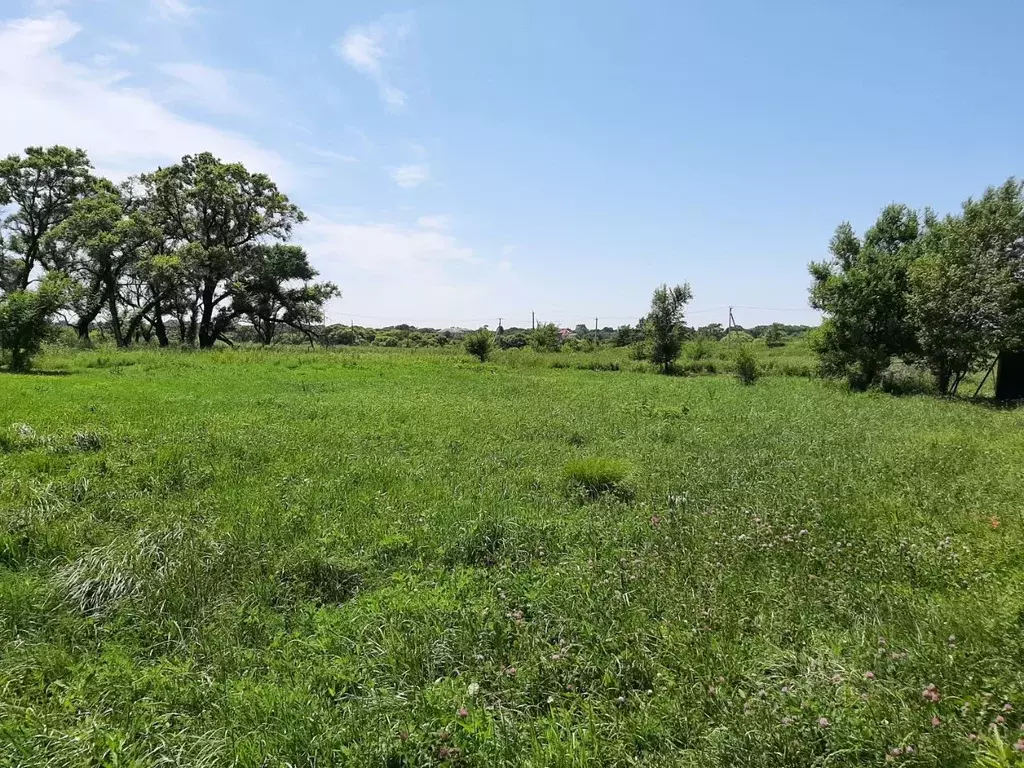 Участок в Приморский край, Уссурийский городской округ, с. Воздвиженка ... - Фото 1