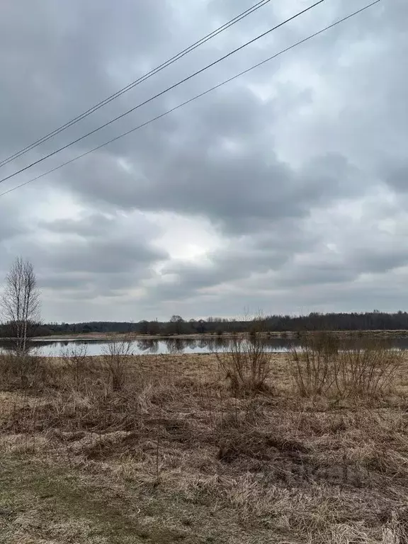 Участок в Вологодская область, Сокольский муниципальный округ, д. Шера ... - Фото 1