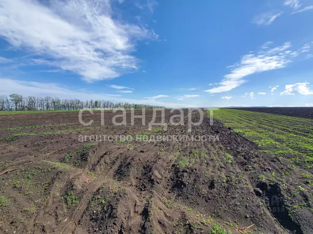 Участок в Ставропольский край, Предгорный муниципальный округ, пос. ... - Фото 2