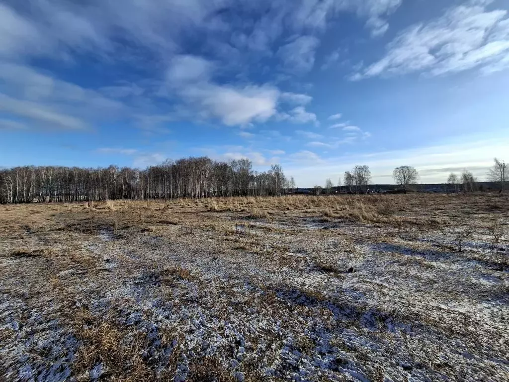 Участок в Свердловская область, Сысертский муниципальный округ, с. ... - Фото 2