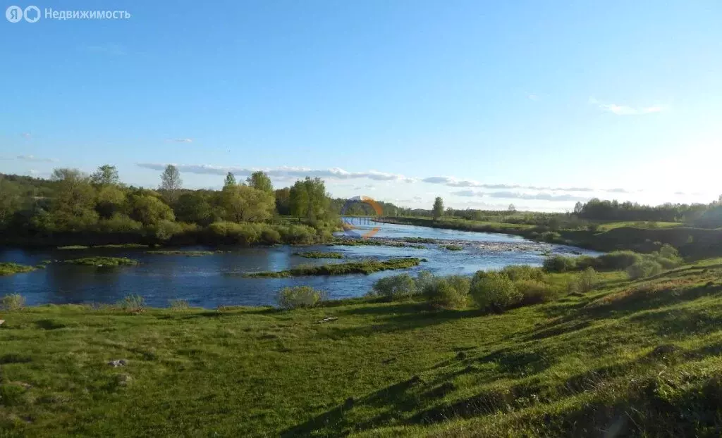 Участок в Новгородская область, Солецкий муниципальный округ, деревня ... - Фото 1