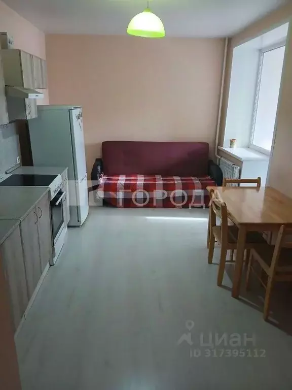 1-к кв. Новосибирская область, Новосибирск ул. Фрунзе, 71/1 (58.0 м) - Фото 1