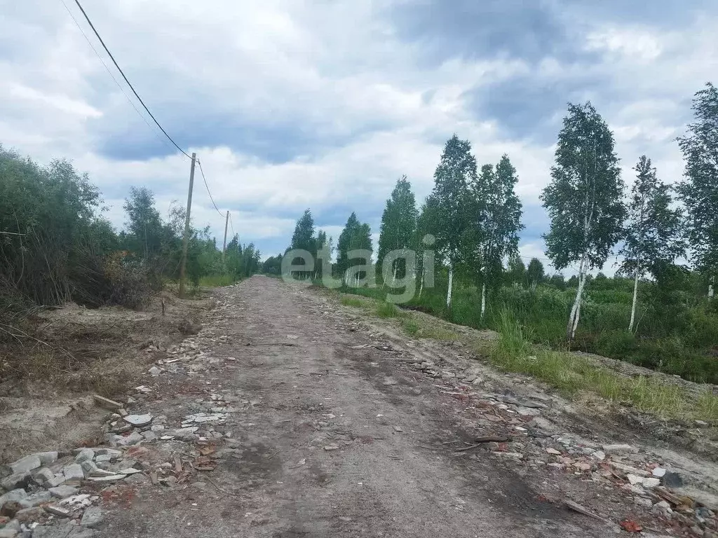 Участок в Тюменская область, Тюмень Большое Царево-1 СНТ,  (10.0 сот.) - Фото 1