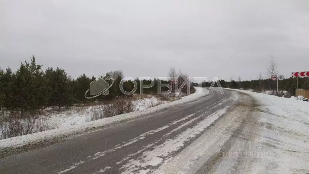 Участок в Тюменская область, Тюменский район, с. Каменка  (6.0 сот.) - Фото 1