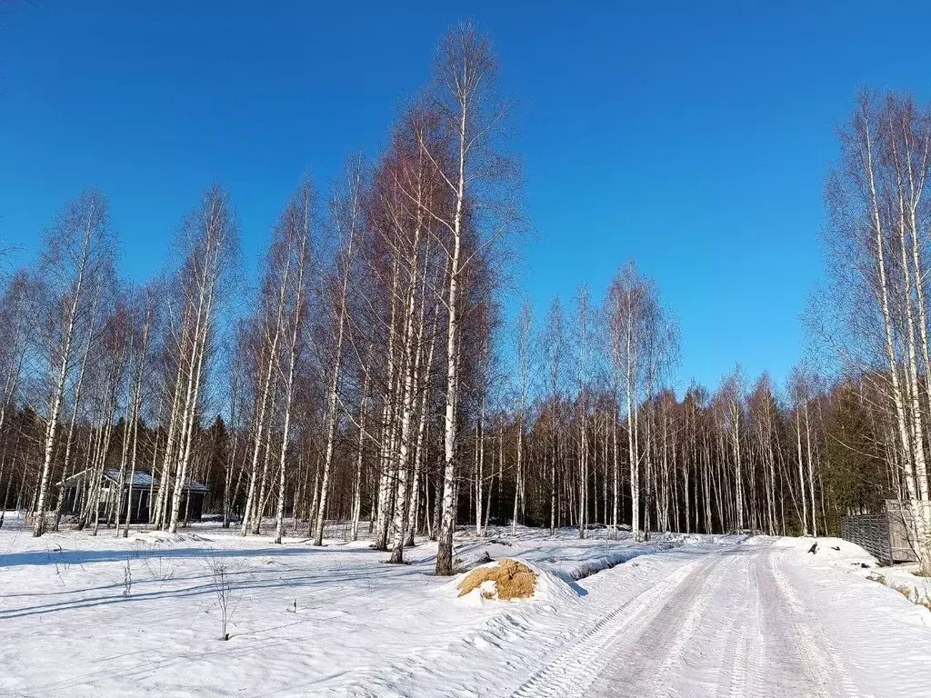 Участок в Московская область, Клин городской округ, Решетниково рп, ... - Фото 0