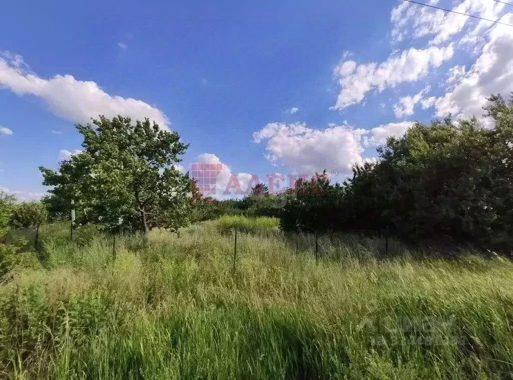 Участок в Ростовская область, Азовский район, с. Маргаритово ул. ... - Фото 2