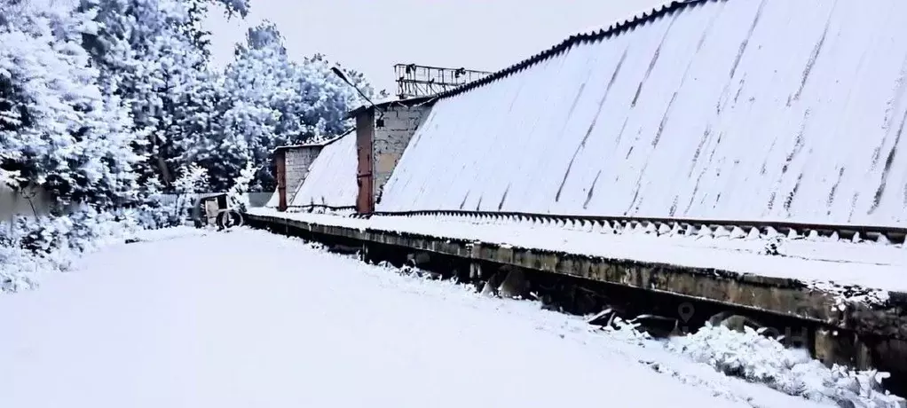 Склад в Московская область, Балашиха 15А мкр,  (647 м) - Фото 1