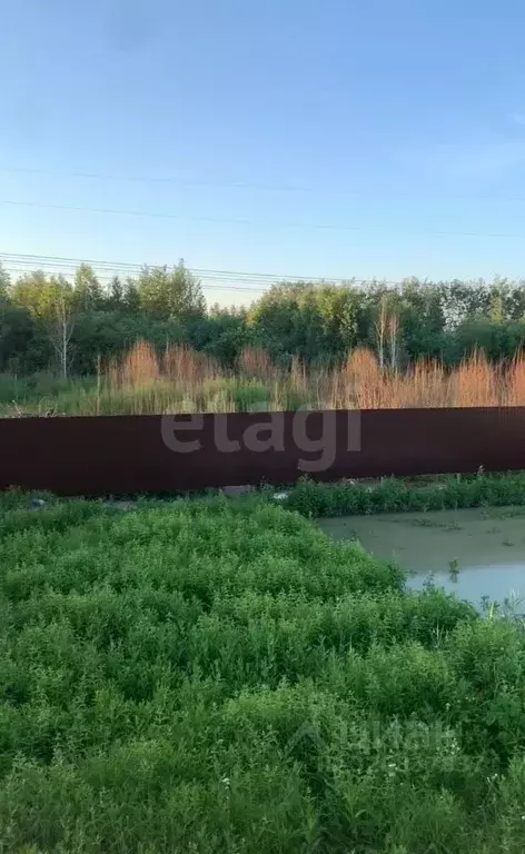 Участок в Тюменская область, Тюмень Поляна садовое общество, ул. ... - Фото 1