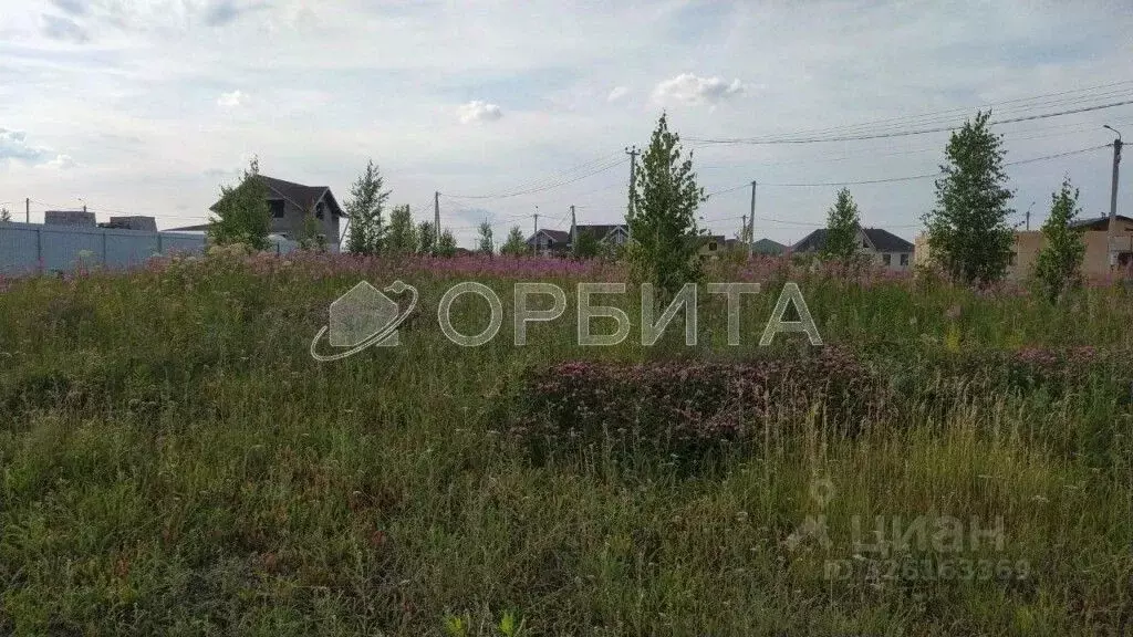 Участок в Тюменская область, Тюменский муниципальный округ, с. Кулига ... - Фото 1