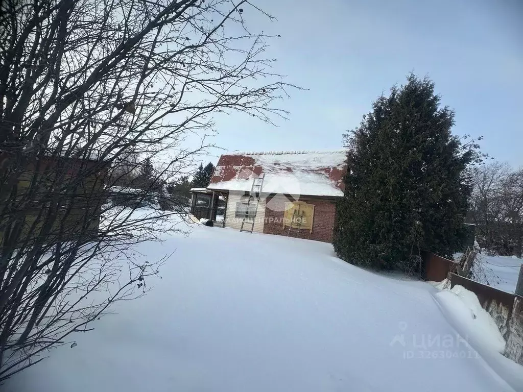 Участок в Новосибирская область, Новосибирск Тополь СНТ, 5-й сектор, ... - Фото 1