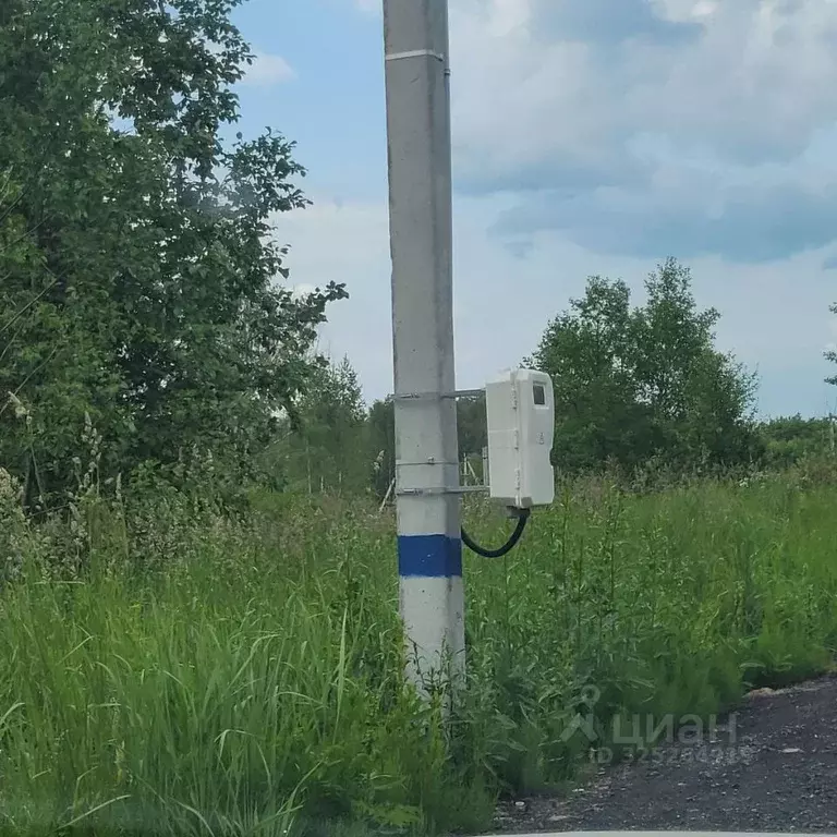 Участок в Московская область, Мытищи городской округ, д. Протасово ул. ... - Фото 2