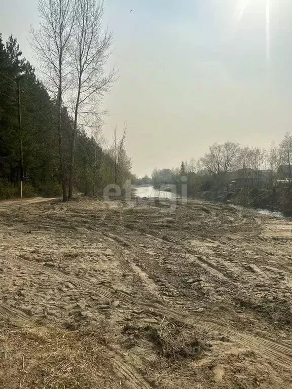 Участок в Новосибирская область, Новосибирский район, Мочищенский ... - Фото 1