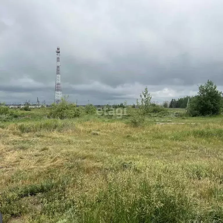 Участок в Тюменская область, Тюменский район, с. Салаирка  (10.0 сот.) - Фото 0