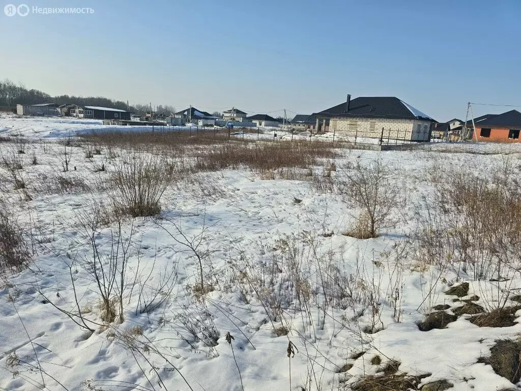 Участок в Калининградская область, Гурьевский муниципальный округ, ... - Фото 2