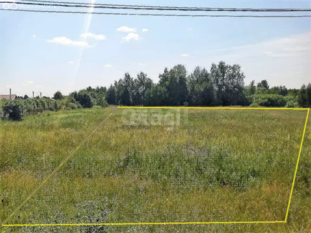 Участок в Московская область, Дмитровский муниципальный округ, деревня ... - Фото 2