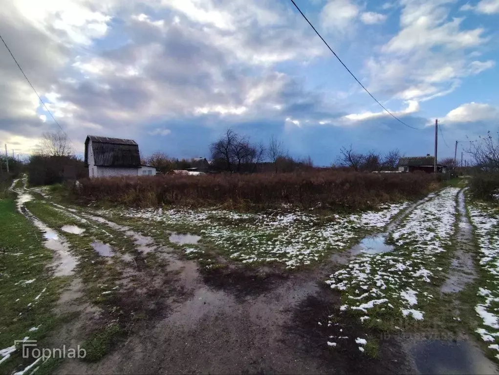 Участок в Брянская область, Брянск Надежда садоводческое товарищество, ... - Фото 2