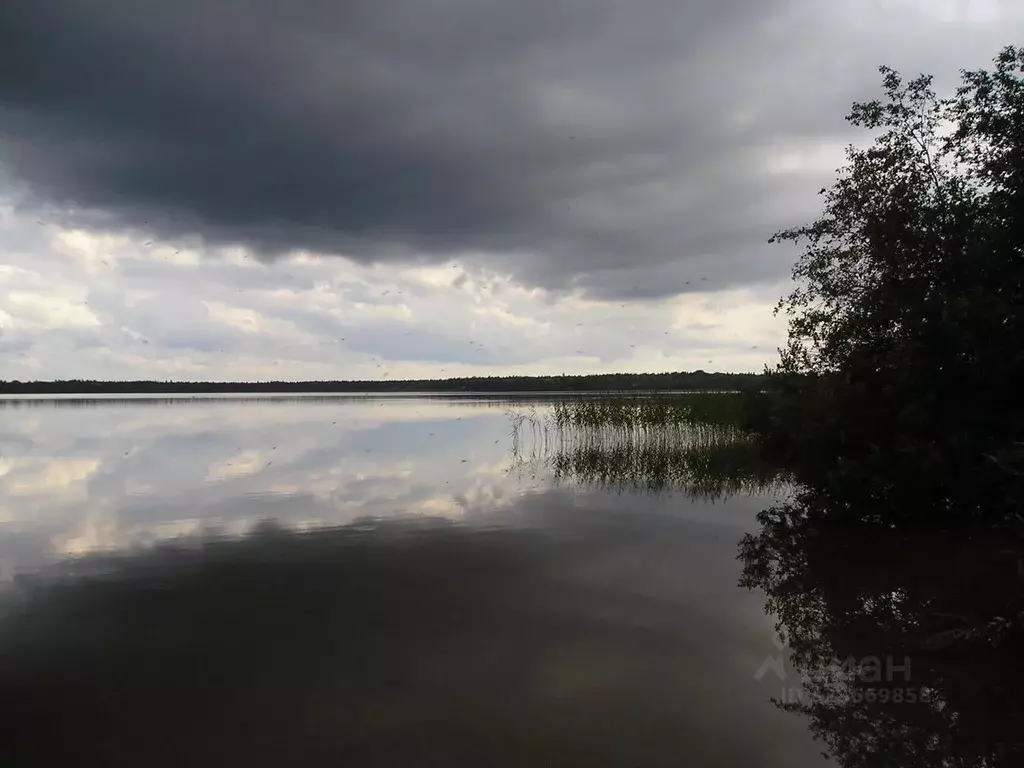 Участок в Ленинградская область, Лужский район, Оредежское с/пос, д. ... - Фото 1