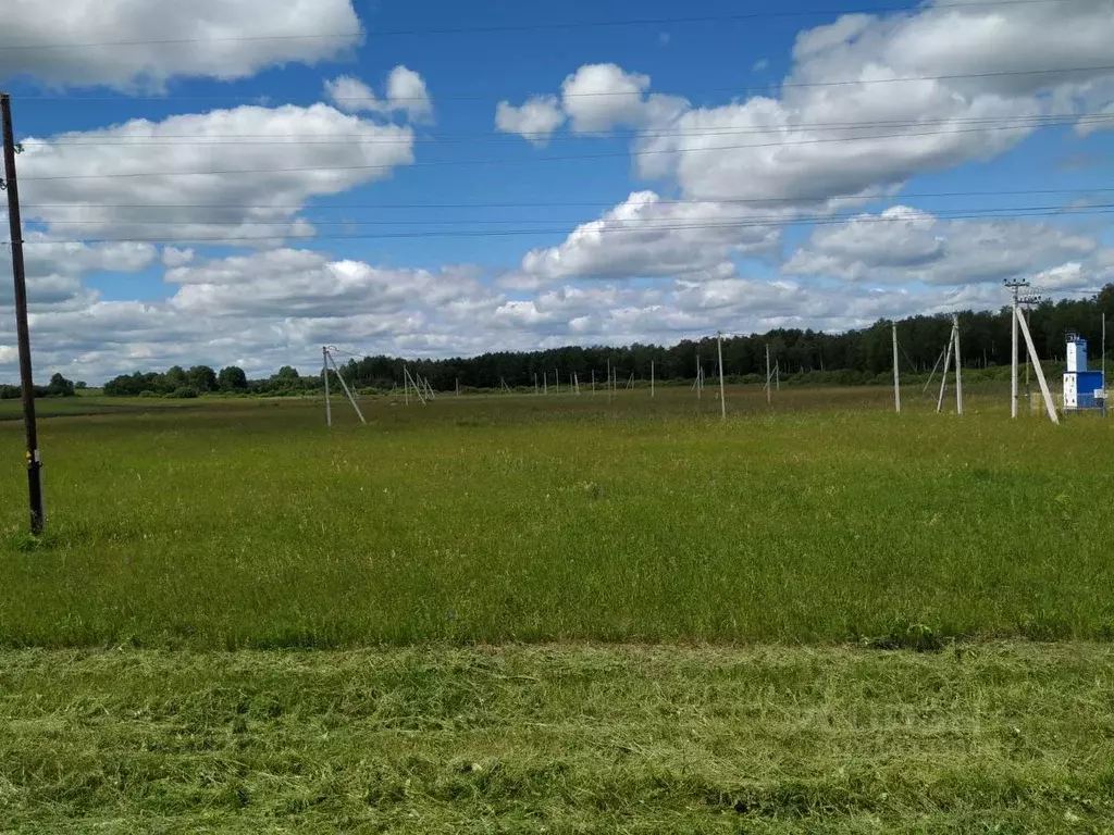 Участок в Тюменская область, Тюменский район, д. Большие Акияры ул. ... - Фото 1