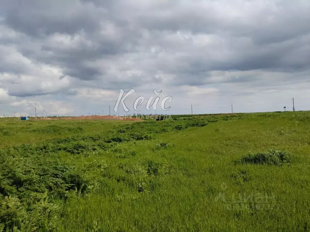 Участок в Крым, Ленинский район, Семисотское с/пос, с. Каменское  (6.0 ... - Фото 2