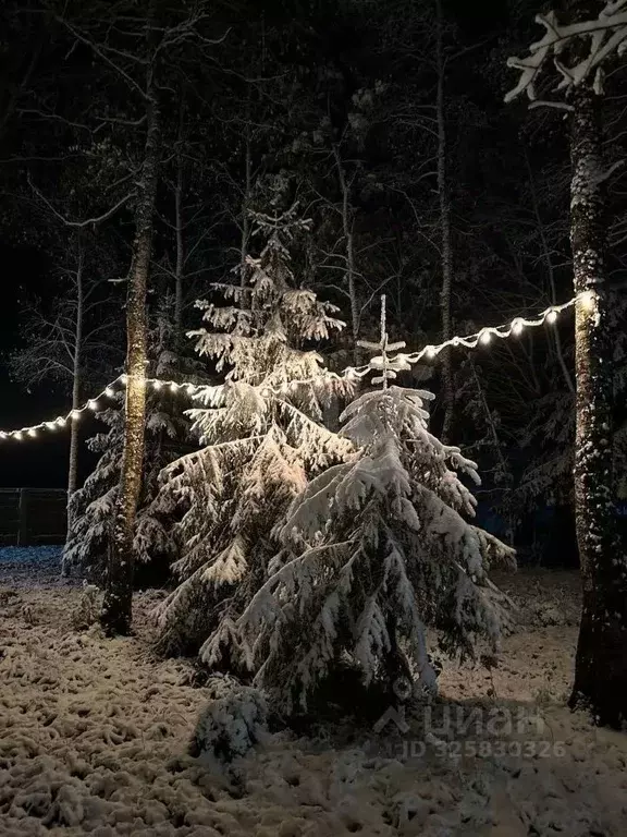 Дом в Московская область, Клин городской округ, д. Грешнево ул. ... - Фото 1