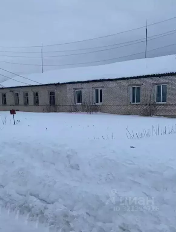 Помещение свободного назначения в Нижегородская область, Лукояновский ... - Фото 0