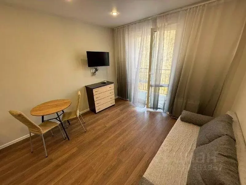 Студия Краснодарский край, Сочи ул. Искры, 88к1 (31.0 м) - Фото 2