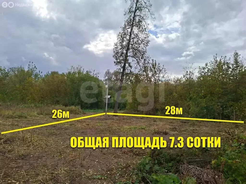 Участок в Наумовский сельсовет, СНТ Лесное (7.3 м) - Фото 2