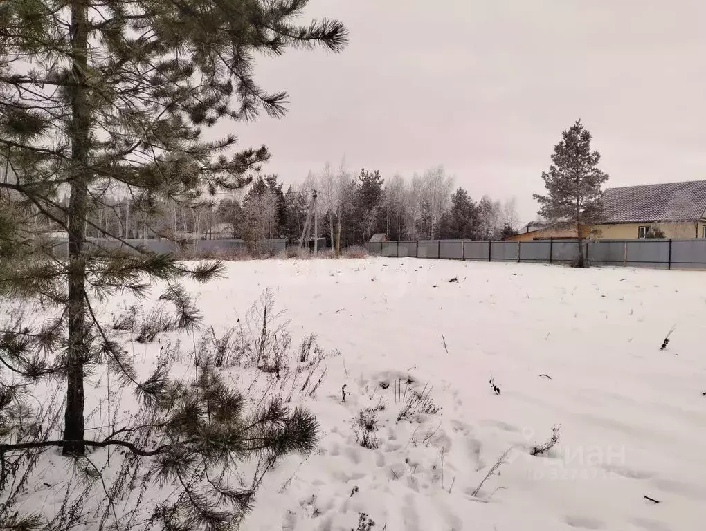 Участок в Курганская область, Кетовский муниципальный округ, с. ... - Фото 1