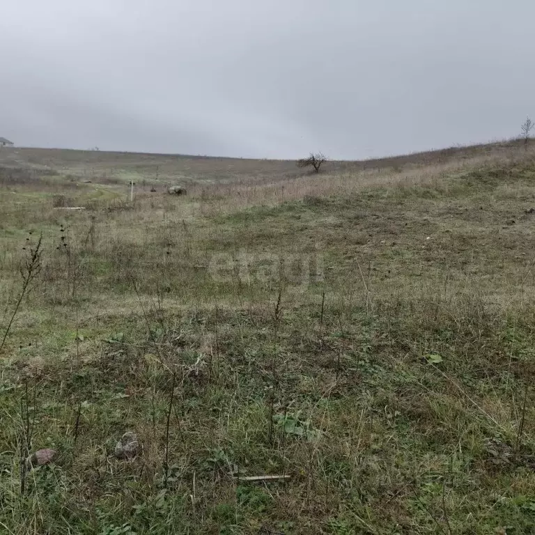 Участок в Ингушетия, Назрань Центральный административный округ, ул. ... - Фото 2