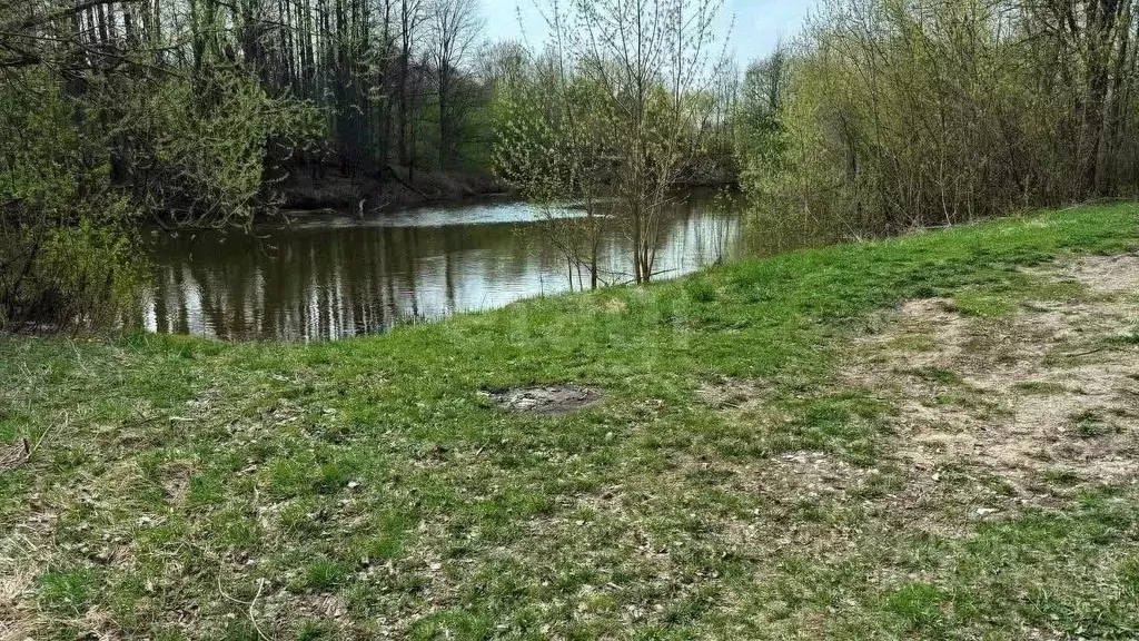 Участок в Марий Эл, Медведевский район, Сенькинское с/пос, д. Сенькино ... - Фото 1