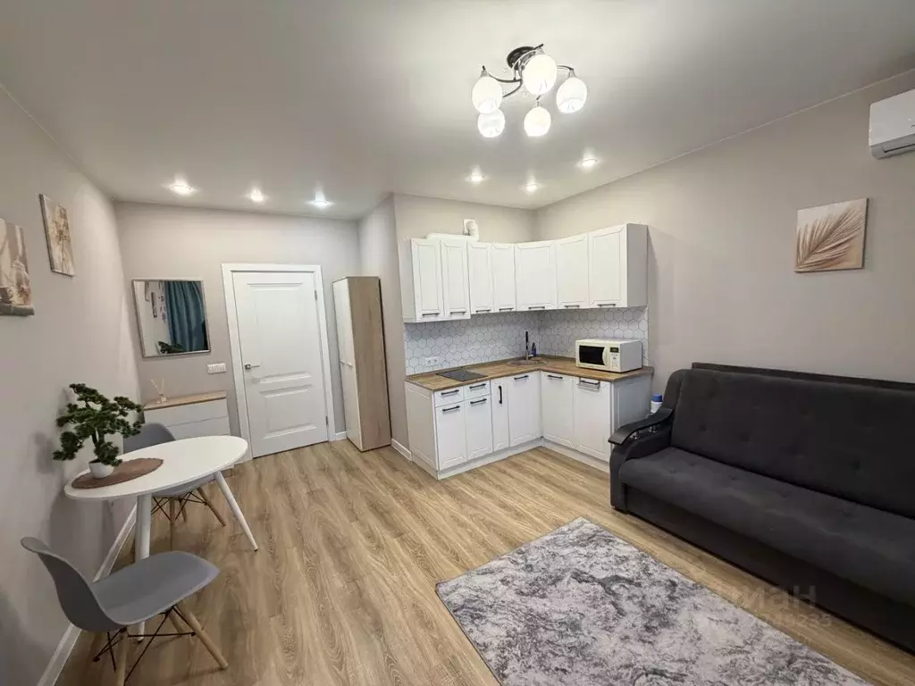 Студия Краснодарский край, Краснодар ул. Героя Пешкова, 14к3 (26.0 м) - Фото 2