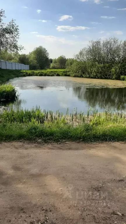 Участок в Владимирская область, Александровский район, ... - Фото 1