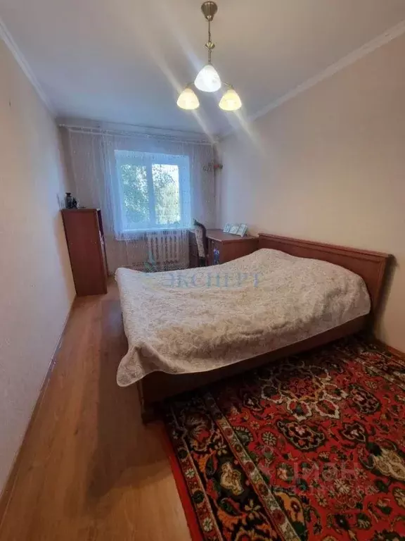 3-к кв. Нижегородская область, Нижний Новгород ул. Ломоносова, 13 ... - Фото 2