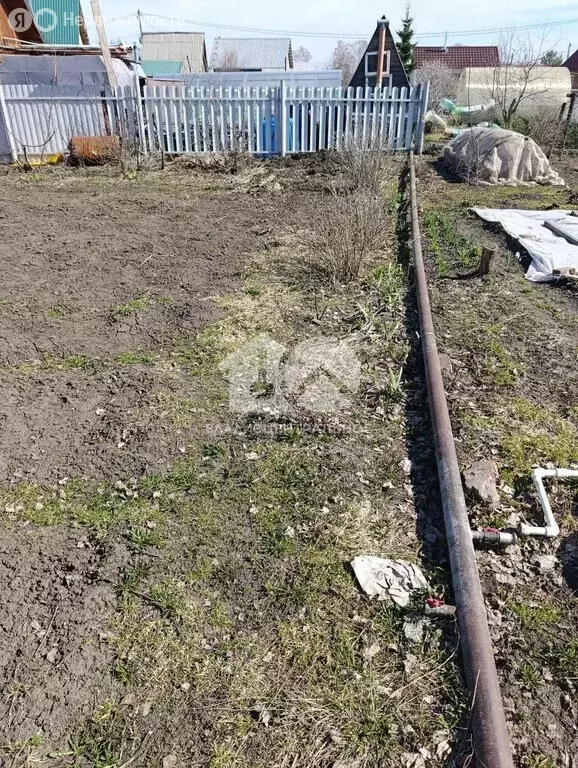 Участок в Бердск, СНТ Майское, 241 (5.5 м) - Фото 2