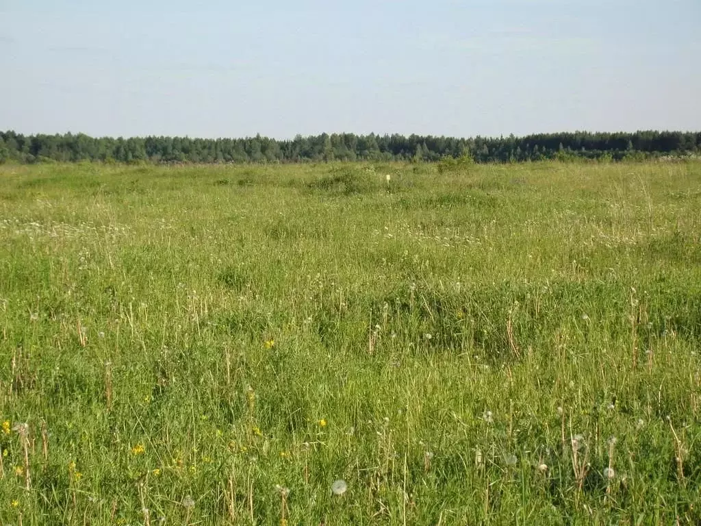 Участок в Архангельская область, Котласский муниципальный округ, ... - Фото 1