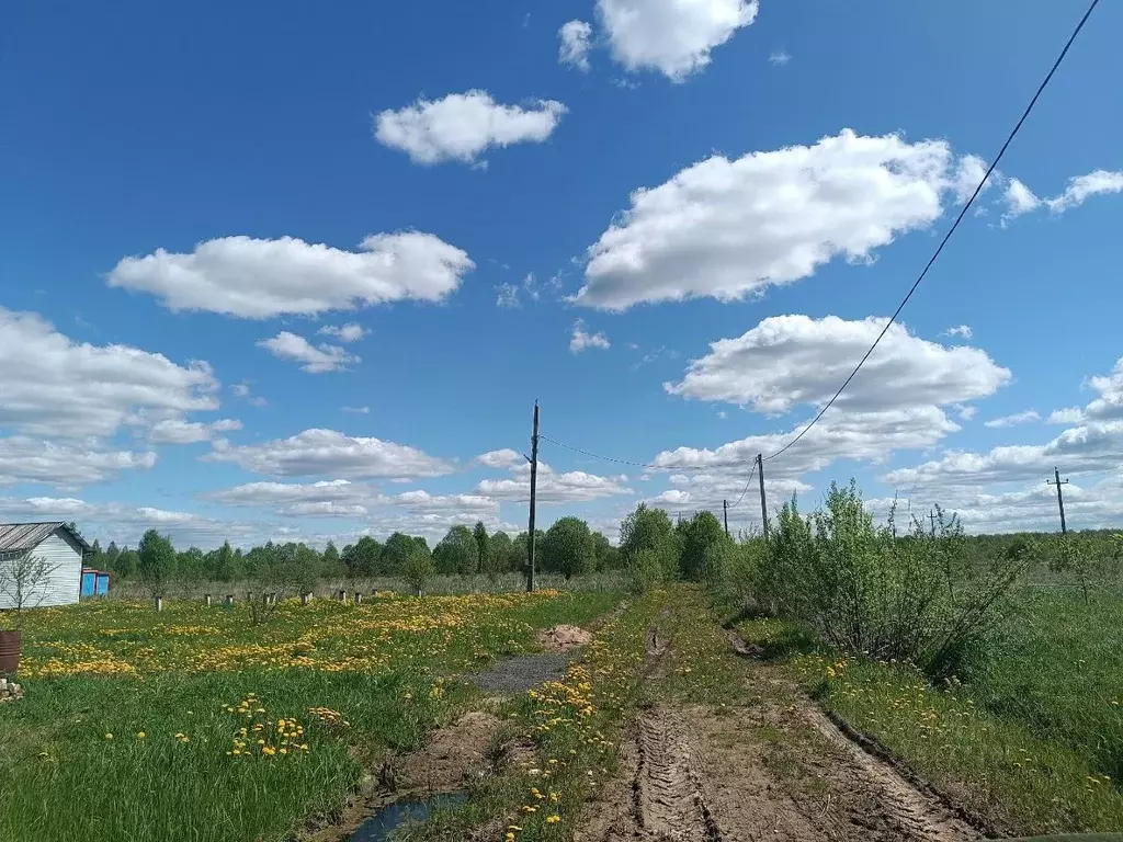 Участок в Новгородская область, Новгородский район, Савинское с/пос, ... - Фото 0