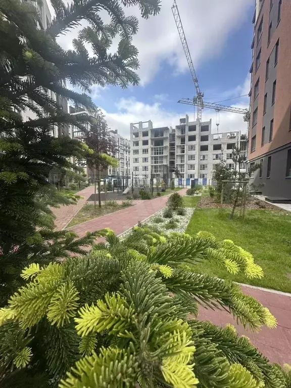 3-к. квартира, 80,6 м, 1/9 эт. - Фото 0