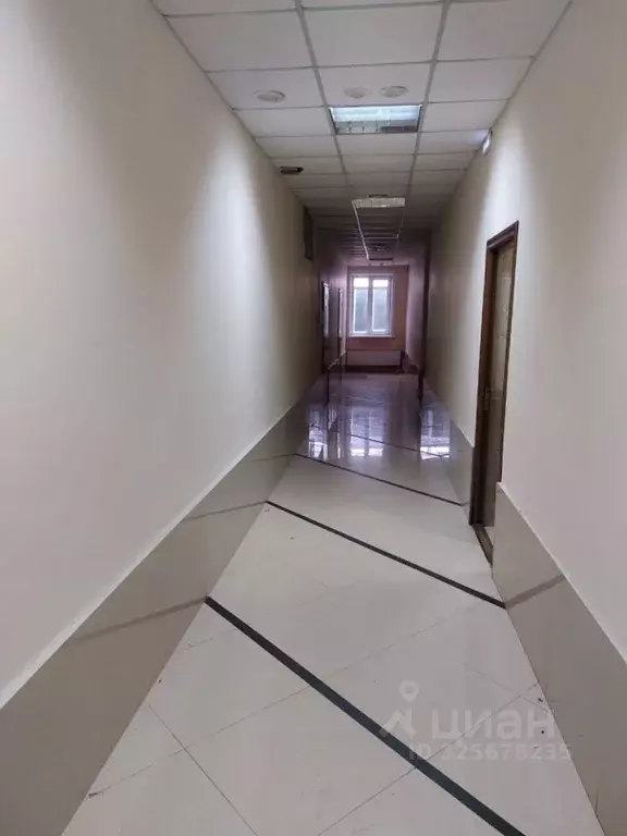 Помещение свободного назначения в Омская область, Омск ул. Фрунзе, 54 ... - Фото 2