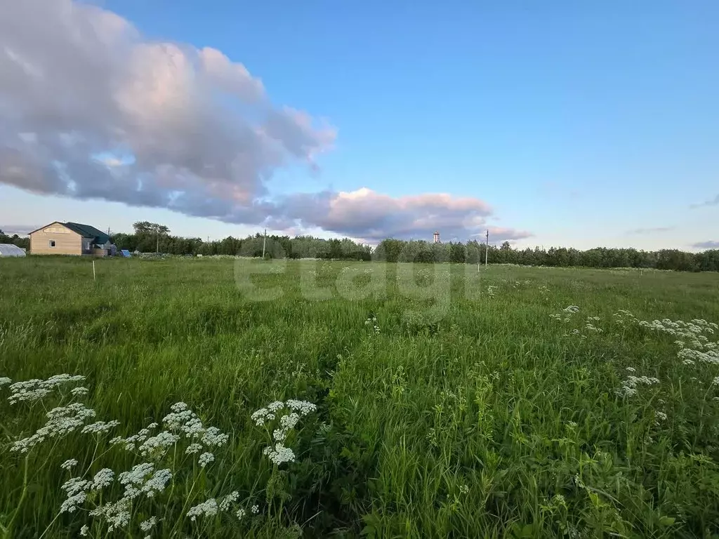 Участок в Архангельская область, Приморский муниципальный округ, д. ... - Фото 1