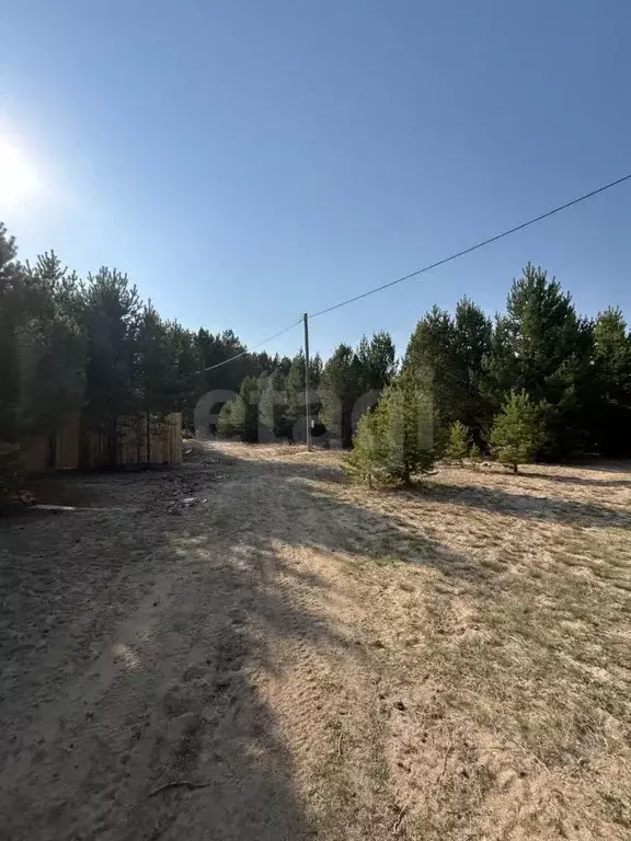 Участок в Бурятия, Баргузинский район, Усть-Баргузин пгт, Лопатки ... - Фото 0