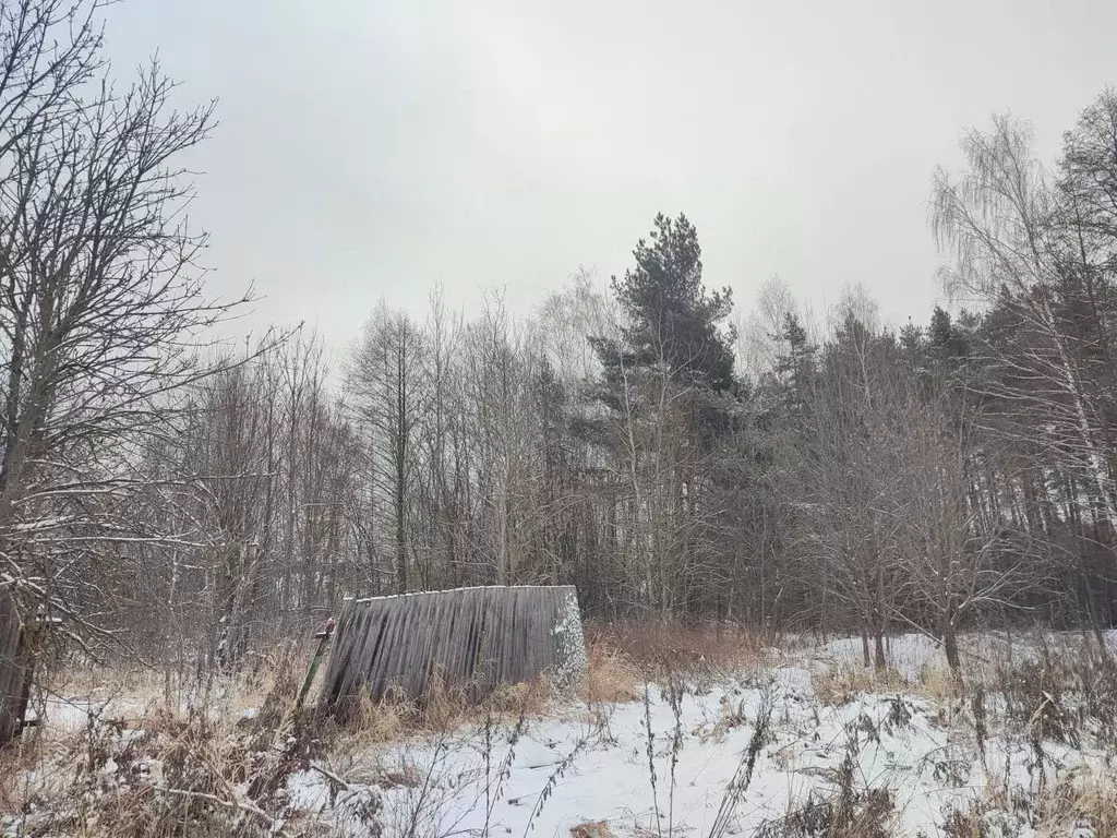 Участок в Московская область, Ликино-Дулево Орехово-Зуевский городской ... - Фото 0