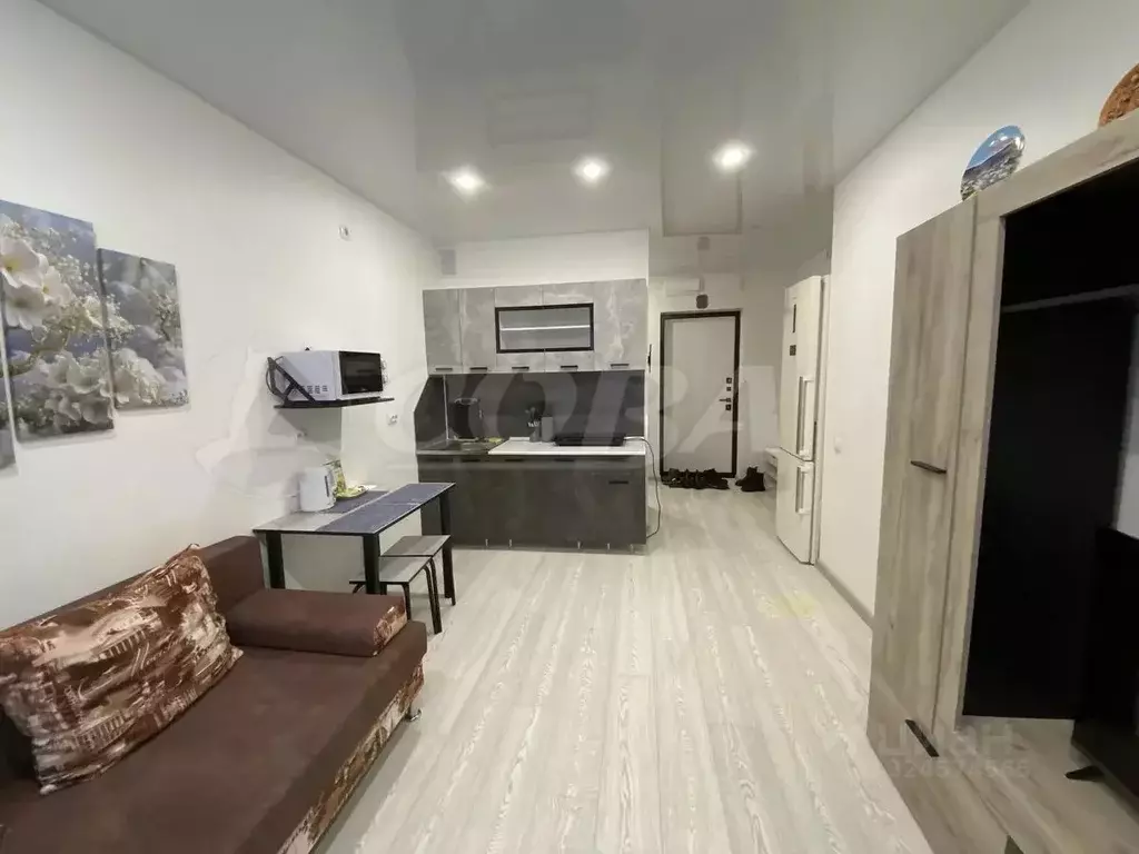 Студия Тюменская область, Тюмень ул. Новоселов, 103к1 (25.0 м) - Фото 2