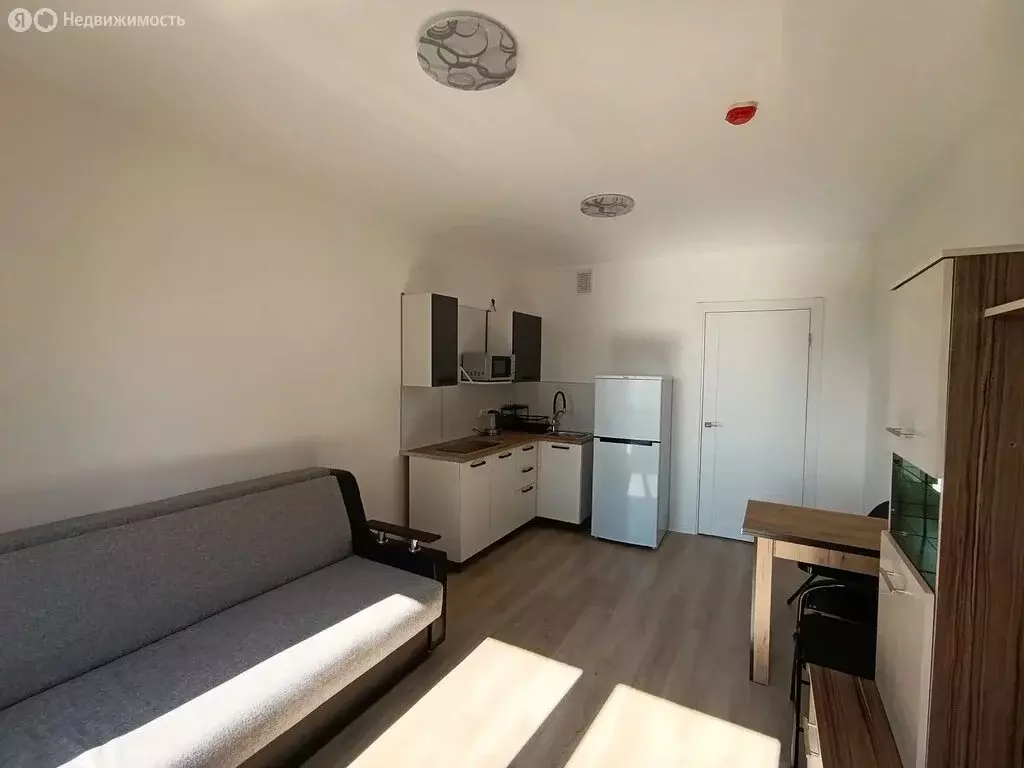 Квартира-студия: Санкт-Петербург, Пахомовская улица, 14к1 (21 м) - Фото 1