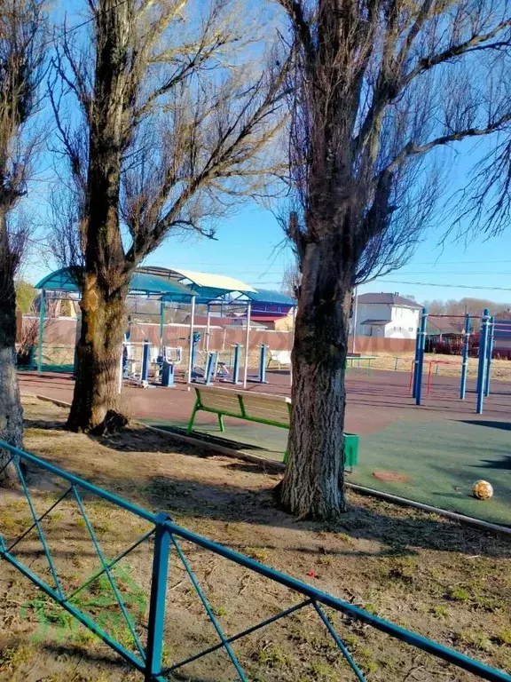 1-к кв. Московская область, Раменский муниципальный округ, с. Михеево ... - Фото 1