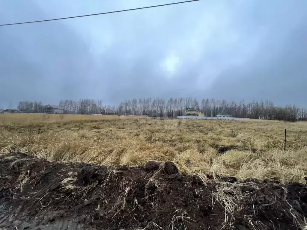 Участок в Чувашия, Моргаушский муниципальный округ, д. Яраккасы  (12.0 ... - Фото 2